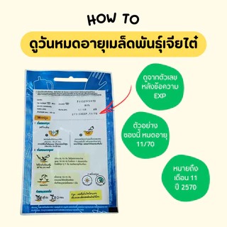 เมล็ดพันธุ์ผักสวนครัว เจียไต๋ OP ผักบุ้งจีน พริก ถั่วฝักยาว ผักชี กะเพรา ต้นหอม