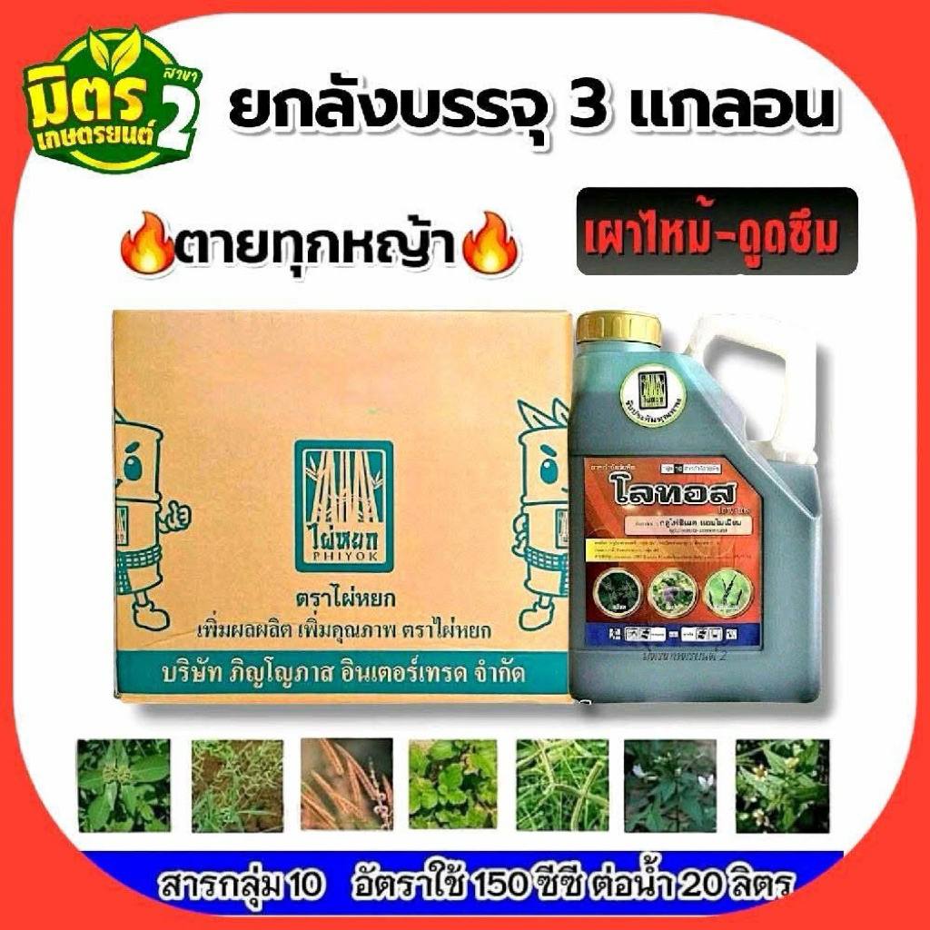 **ยกลัง3แกลอน**โลทอส (ตราไผ่หยก)ขนาด4ลิตรปราบวัชพืชทั้งใบแคบและใบกว้าง สูตรเข้มข้น สามารถใช้ฉีดไล่ร่องในแปลงอ้อย