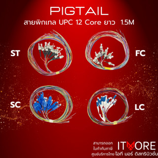 (ส่งด่วน) สายไฟเบอร์ออปติก หางหมู Pigtail 12 Core แบบ SC/ST/…