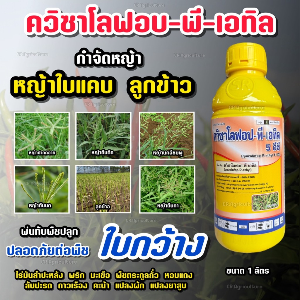 ควิซาโลฟอป -พี-เอทิล กำจัดวัชพืชใบแคบ ลูกข้าว ปลอดภัยต่อพืชใบกว้าง พืชผัก ทานตะวัน ผัก ยาสูบ พริก ถั่ว มัน ตราซิกม่า