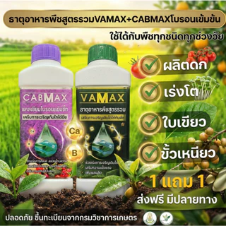 CabMax+VaMax [1แถม1] แคลเซียมโบรอนเข้มข้ม แถม ปุ๋ยธาตุรวม ราคาพิเศษ