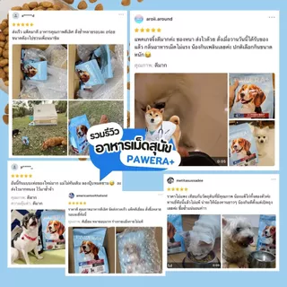 PAWERA+ พอว์เอร่า อาหารสุนัข โปรตีนคุณภาพ Single Protein สูตรเนื้อวัวสด Gluten Free พัฒนาสูตรโดยสัตวแพทย์