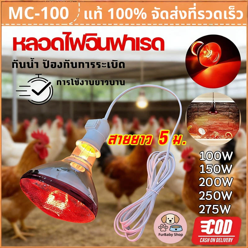 【FurBaby】พร้อมส่ง ส่งจากไทย หลอดไฟความร้อน หลอดไฟอินฟาเรด ไฟกกหมู ไฟกกสัตว์ปีก เกรดพรีเมียม ขั้วE27 100W 275W ประหยัดไฟ