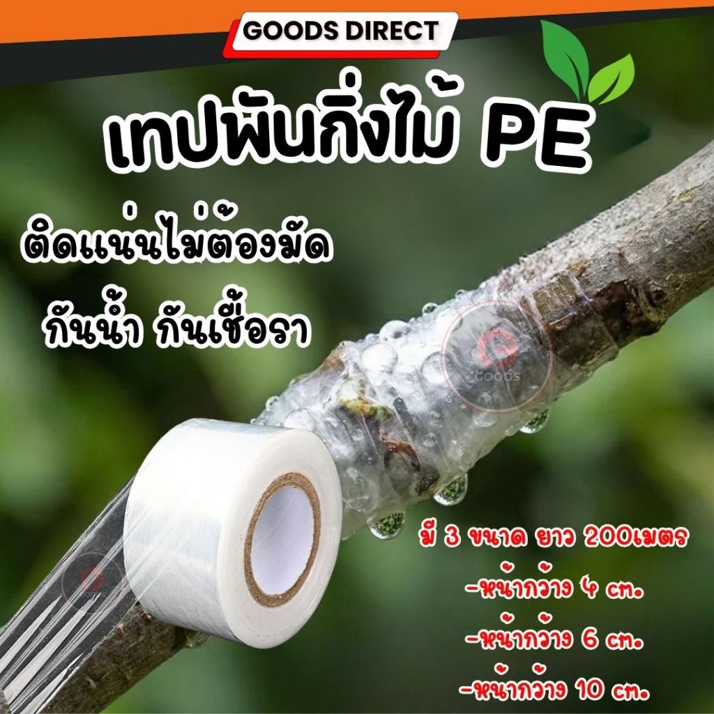 เทปพันกิ่งไม้ PE อย่างดี ยาว 200 เมตร หน้ากว้าง 4 /6 /10 cm. พันง่าย ไม่ต้องผูกปม กันน้ำ กันเชื้อรา