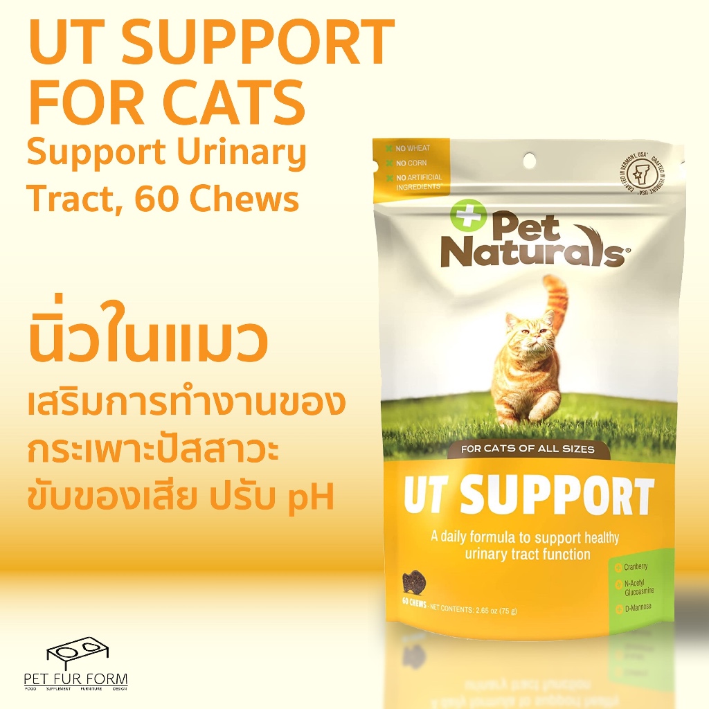 นิ่ว UT Support Pet Naturals Cats อาหารเสริมดูแลระบบทางเดินปัสสาวะ นิ่ว อักเสบ แบบเม็ดขนมรูปปลา อร่อ