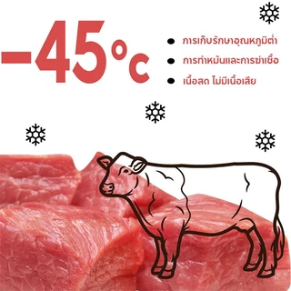 ขนมสุนัข เนื้อวัวเม็ด 500 กรัม เนื้อวัวแท้ 100% เนื้ออบแห้ง โปรตีนสูง เพิ่มความต้านทาน ไม่ปรุงแต่งรส