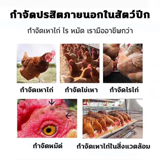 COD น้ำยาฆ่าแมลงฆ่าเชื้อคอกไก่ 2.5ลิตร กำจัดยุง ไรไก่ ฆ่าเชื้อโรค ปกป้องไก่จากแมลงรบกวนและเชื้ออันตราย
