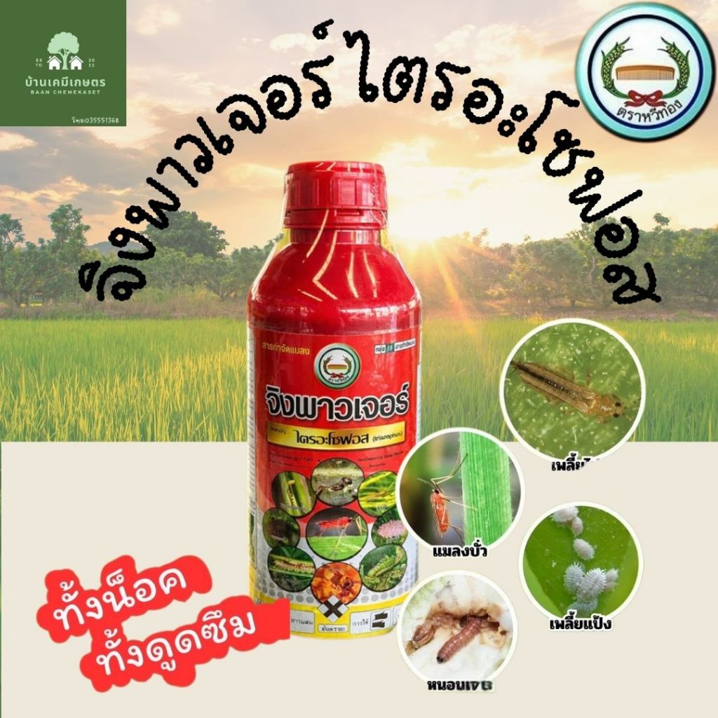 จิงพาวเจอร์ ไตรอะโซน ขนาด1ลิตร กำจัดแมลง บั่ว เพลี้ย หนอน