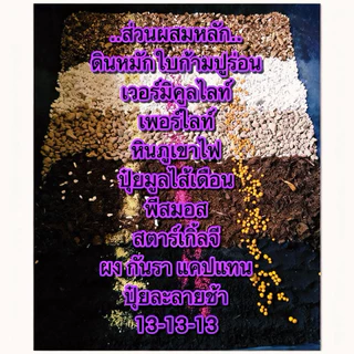 ดินปลูกกระบองเพชร แคคตัส ไลทอป ไม้อวบน้ำ สูตรโปร่ง ระบายน้ำดี สำหรับเพาะปลูก พร้อมใช้ ขนาด 1 กก.