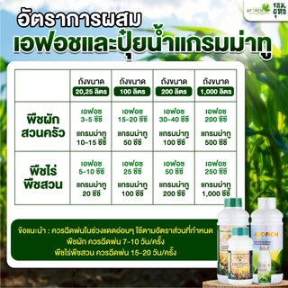 ชุดเล็ก สูตร1 เอฟอช 100ซีซี ปุ๋ยน้ำแกรมม่าทู 500ซีซี เร่งการเจริญเติบโตพืช