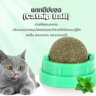Boqi Factory แคทนิปบอล ติดกำแพง ไม่กลิ้งหาย catnip ball XJ55
