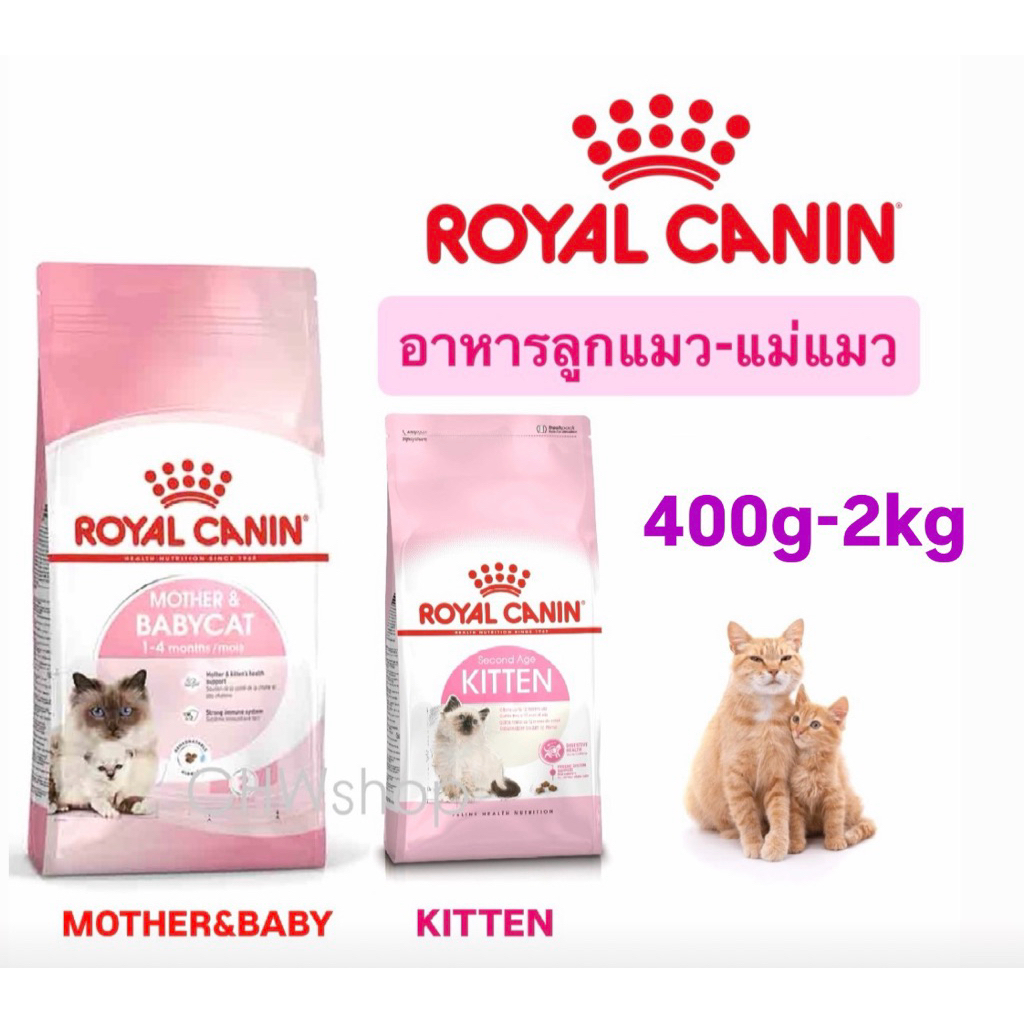 Royal Canin Mother and Babycat และ Kitten อาหารลูกแมว และแม่แมว (ขนาด 400g - 1.2 kg - 2 kg)