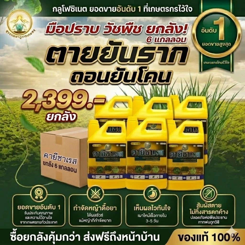คายีซาเรส(ของแท้)ขนาด 4ลิตร(ยกลัง)ใช้ได้ทั้งใบกว้างและใบแคบ กลูโฟซิเนต ใช้กำจัดวัชพืช