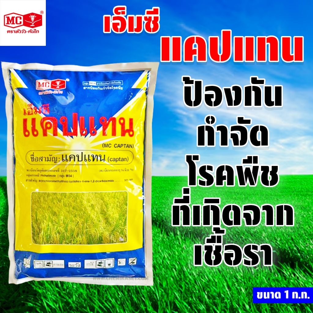 แคปแทน ขนาด 1 ก.ก. สารป้องกันและกำจัดโรคพืชที่เกิดจากเชื้อรา ตรา หัววัว-คันไถ