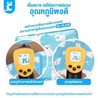 [ส่งฟรี🇹🇭] CleverPet แผ่นเจลเย็น ที่นอนเย็น เบาะเย็นแมว แผ่นเย็นหมา Pet Cooling Mat