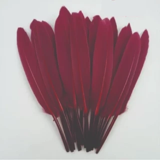 ขนนกDIY คละสี สำหรับตกแต่ง มีทั้งขนนกขนฟูและขนเรียบ ขนนกธรรมชาติสีสันสวย ตกแต่งสำหรับเครื่องประดับ