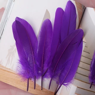 ขนนกDIY คละสี สำหรับตกแต่ง มีทั้งขนนกขนฟูและขนเรียบ ขนนกธรรมชาติสีสันสวย ตกแต่งสำหรับเครื่องประดับ