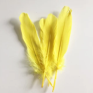 ขนนกDIY คละสี สำหรับตกแต่ง มีทั้งขนนกขนฟูและขนเรียบ ขนนกธรรมชาติสีสันสวย ตกแต่งสำหรับเครื่องประดับ