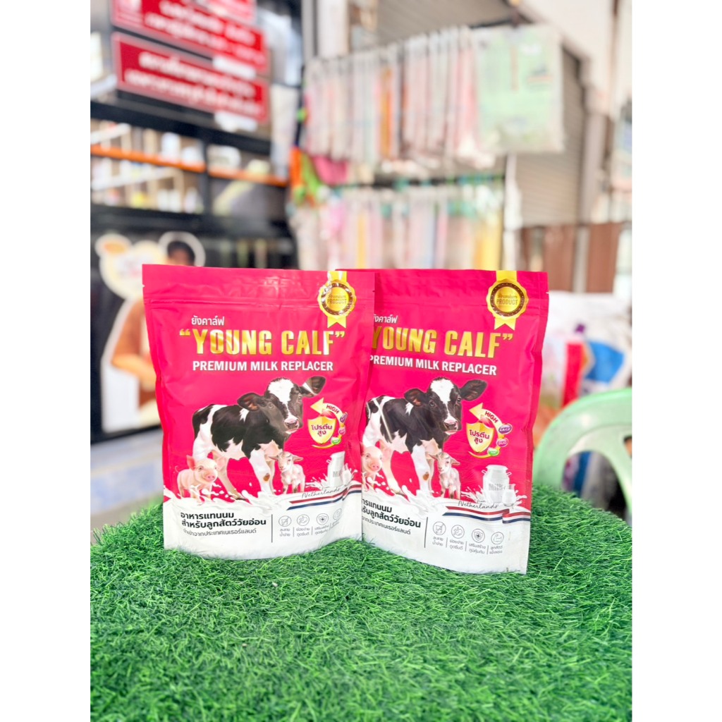 นมผงสำหรับลูกวัวแรกเกิด ยังคาล์ฟ(800g.)