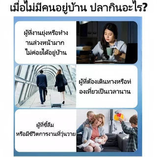 เครื่องให้อาหารปลาอัตโนมัติ 50g/150g/250g