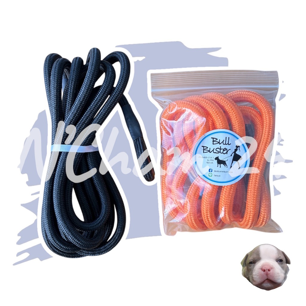 สายจูง Bull Buster Premium 2in 1 ปลอกคอสายจูง สำหรับสุนัข (เกรดพรีเมี่ยม)