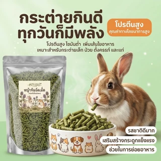 PETLUSCI® หญ้าอัลฟาฟ่าอัดเม็ด 500ก กัดฟันและทําความสะอาดฟัน ดูแลระบบย่อยอาหาร ลดกลิ่นไม่พึงประสงค์
