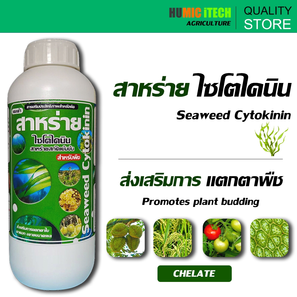 สาหร่าย ไซโตไคนิน ปริมาณ 1 ลิตร : ส่งเสริมการแบ่งเซลล์ การแตกตา ในส่วนของตาข้าง แตกยอด แตกกอ
