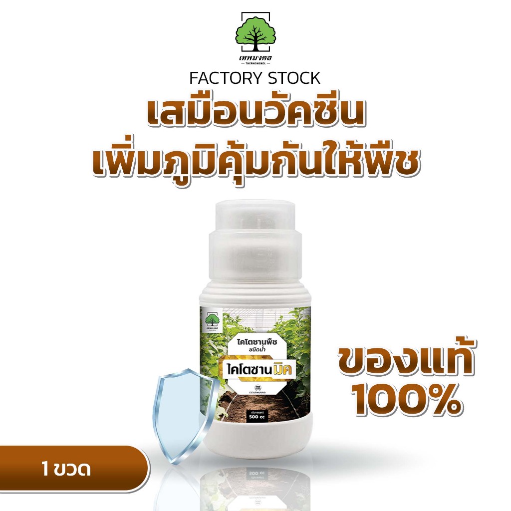 ไคโตซานมิค ตรา เทพมงคล ไคโตซานพืช วัคซีนพืช กระตุ้นภูมิคุ้มกัน เพิ่มคุณภาพผลผลิต ขนาด 500 ซีซี 1 ขวด