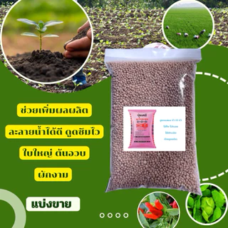 ปุ๋ยสูตรเสมอ 15-15-15 ตราหัววัวคันไถ - ดาวฟ้า[ แบ่งขาย ] เร่งการเจริญเติบโตของพืช