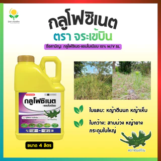 กลูโฟซิเนต กำจัดหญ้า ขวด 4 ลิตร ตราจระเข้บิน (น้ำทอง) (กลูโฟซิเนต-แอมโมเนียม 15%)