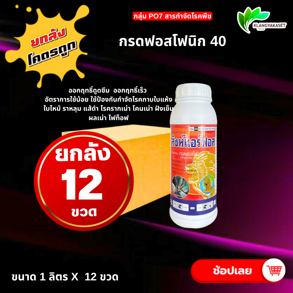 ยกลัง 12 ขวด สิงห์แอร์ฟอส 1 ลิตร 🛑 กรดฟอสโฟนิก 40% สารกำจัดโรคพืช โรคเน่า รากเน่า โคนเน่า ผลเน่า ดอกเน่า ยอดเน่า