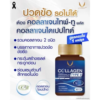 [แพ็ค4กระปุก]Donutt Brand คอลลาเจน Type II + Collagen Dipeptide บำรุงข้อ กระดูกอ่อน ผิวสุขภาพดี แคปซูลทานง่าย(30 แคปซูล)