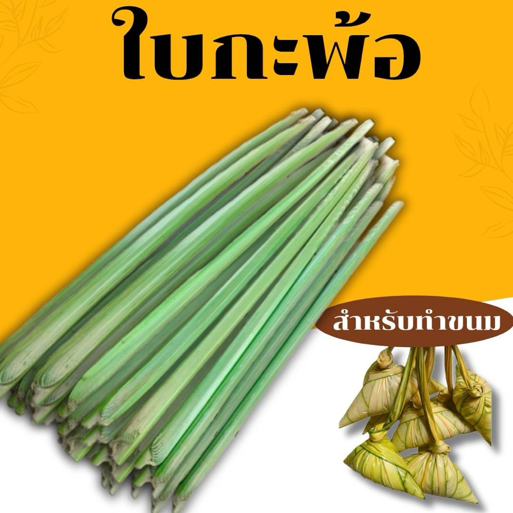 ใบกะพ้อ สำหรับห่อขนม1 ชุดมี 10ช่อ เเล่งาน ประดิษฐ์   คัดยอดใหญ่พิเศษ