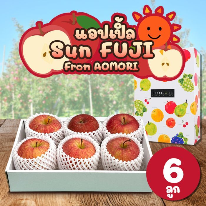 [Gift Box 6 ลูก] แอปเปิลซันฟูจิ จากเมืองอาโอโมริ - Sun Fuji Apple from Aomori