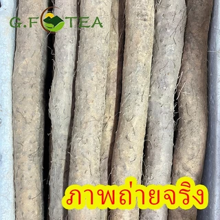 ห่วยซัวสด 鲜淮山 ฮ่วยซัว Chinese Yam ฮ่วยซัว 鲜山药 【เส้นหนึ่ง 480-500 กรัมต่อหัว】