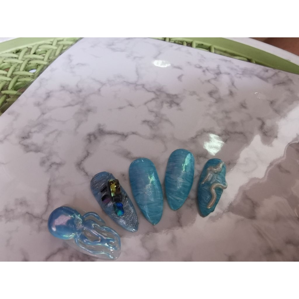 F05ทะเลปลาหมึกฟ้าทะเล