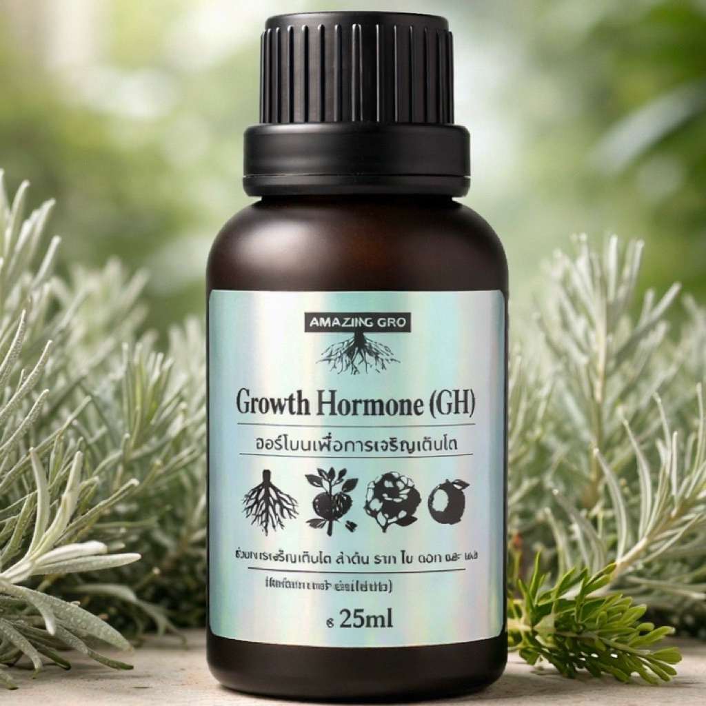 Amazing Gro ฮอร์โมนGH 25ml ช่วยเร่งการเจริญเติบโต ลำต้น ราก ดอก ใบ ผล ช่วยให้พืชแข็งแรง