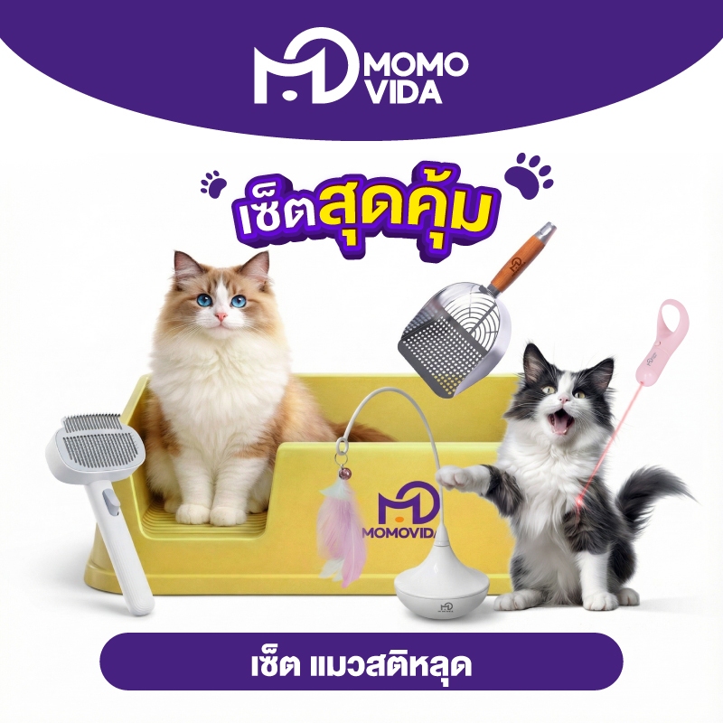 MOMOVIDA เซ็ตแมวสุดคุ้ม เซ็ตแมวสติหลุด ของเล่นแมวพร้อมกระบะทรายและที่ตักทราย เซ็ตสำหรับแมวพรีเมี่ยม