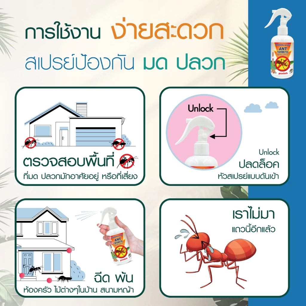 ไล่มด กำจัดมด น้ำยาไล่มด ตายยกลัง มดแดง มดดำ thumbnail 4