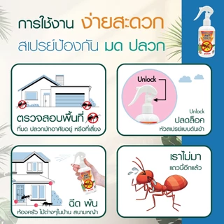 ไล่มด กำจัดมด น้ำยาไล่มด ตายยกลัง มดแดง มดดำ