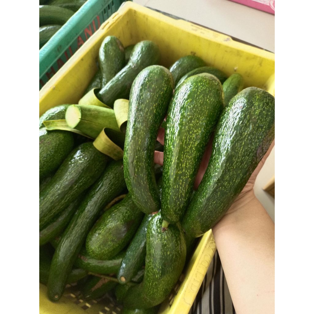 อะโวคาโดเวียดนามA034แก่จัด