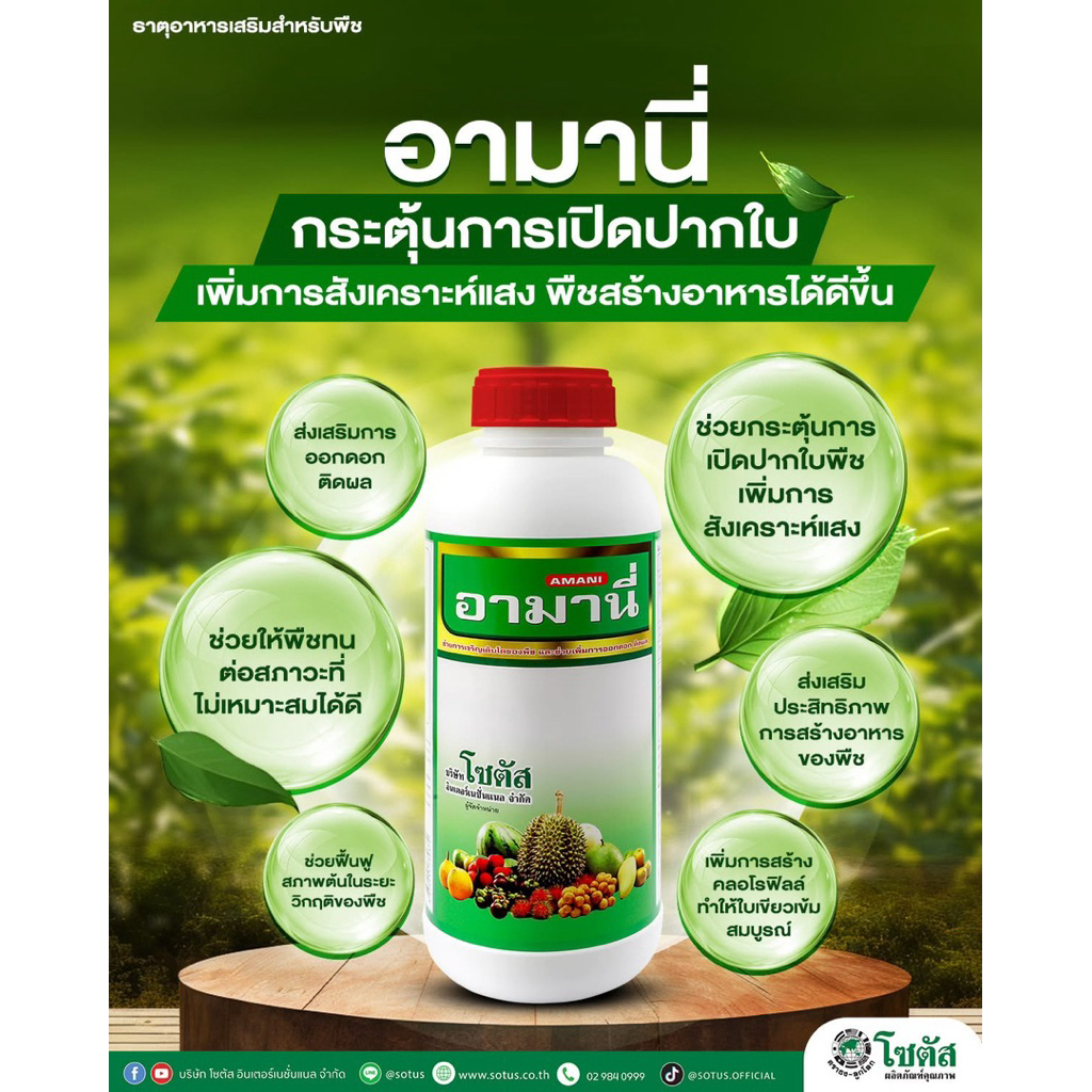 อามานี่ โซตัส 1ลิตร เพิ่มการเปิดปากใบพืช เพิ่มการสังเคราะห์แสง ส่งเสริมประสิทธิภาพการสร้างอาหารของพืช ออกดอก ติดผล