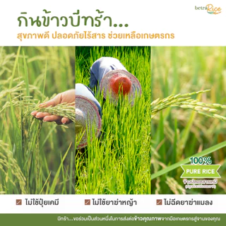 เซตสุขภาพดี ไม่อ่อนล้า ข้าวสังข์หยด + ข้าวเบายอดม่วง ปลอดสาร ข้าวเพื่อสุขภาพ เกรดพรีเมี่ยม - แบรนด์บีทร้า