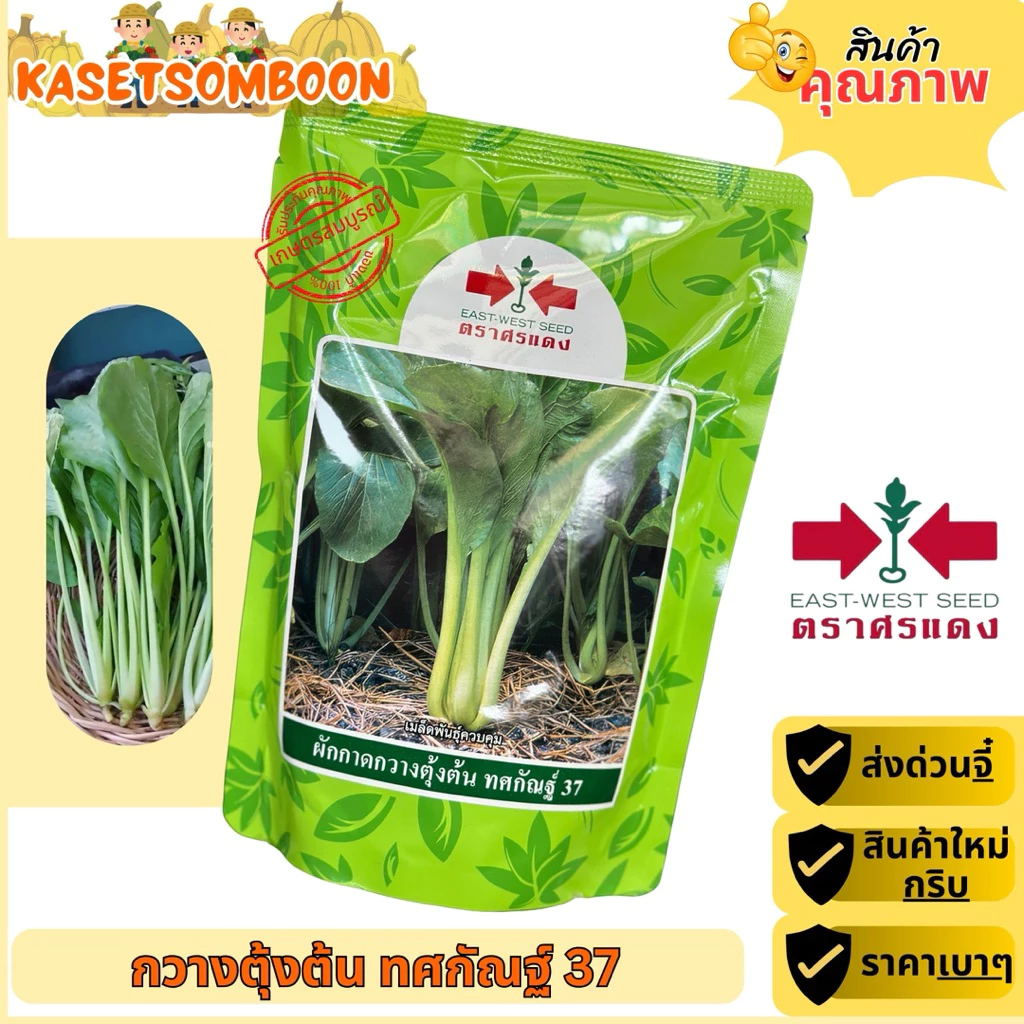 กวางตุ้งต้น ทศกัณฐ์ 37 เมล็ดพันธุ์ 500 ก. ตรา ศรแดง