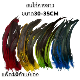 ขนนกเส้น ขนห่าน,ไก่, นกยูง สำหรับตกแต่งเสื้อผ้าและทรงผม Feathers for clothes or hair 🚚ด่วนมีส่งGrab