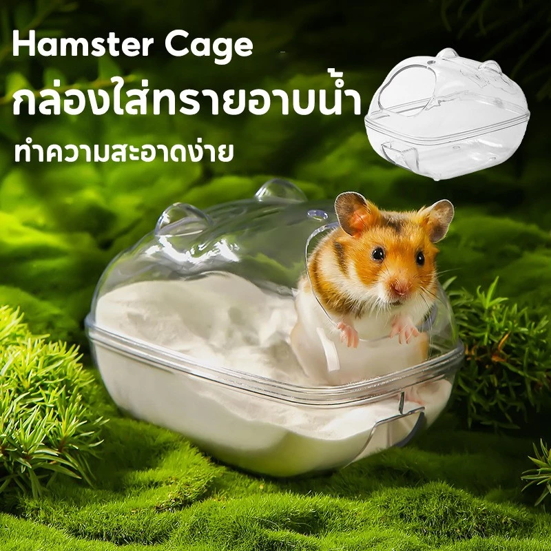 wen.W2 อ่างทรายอาบน้ำหนูแฮมเตอร์ thumbnail 8