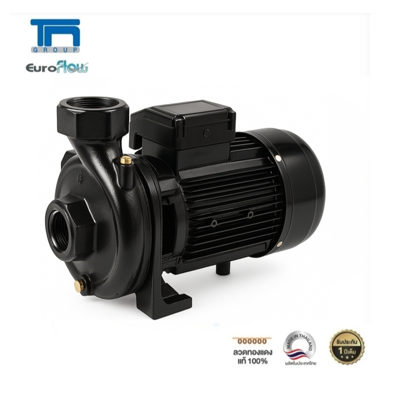 EUROFLOW ปั๊มน้ำหอยโข่ง รุ่น WC300 3HP Black ท่อ 2นิ้วx2นิ้ว 3แรงม้า