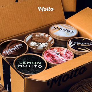 ‼️Set 6 ถ้วย ส่งฟรี‼️ มอลโต้ ไอศกรีม 16 ออนซ์ - Molto Premium Gelato - Ice cream 16 oz.