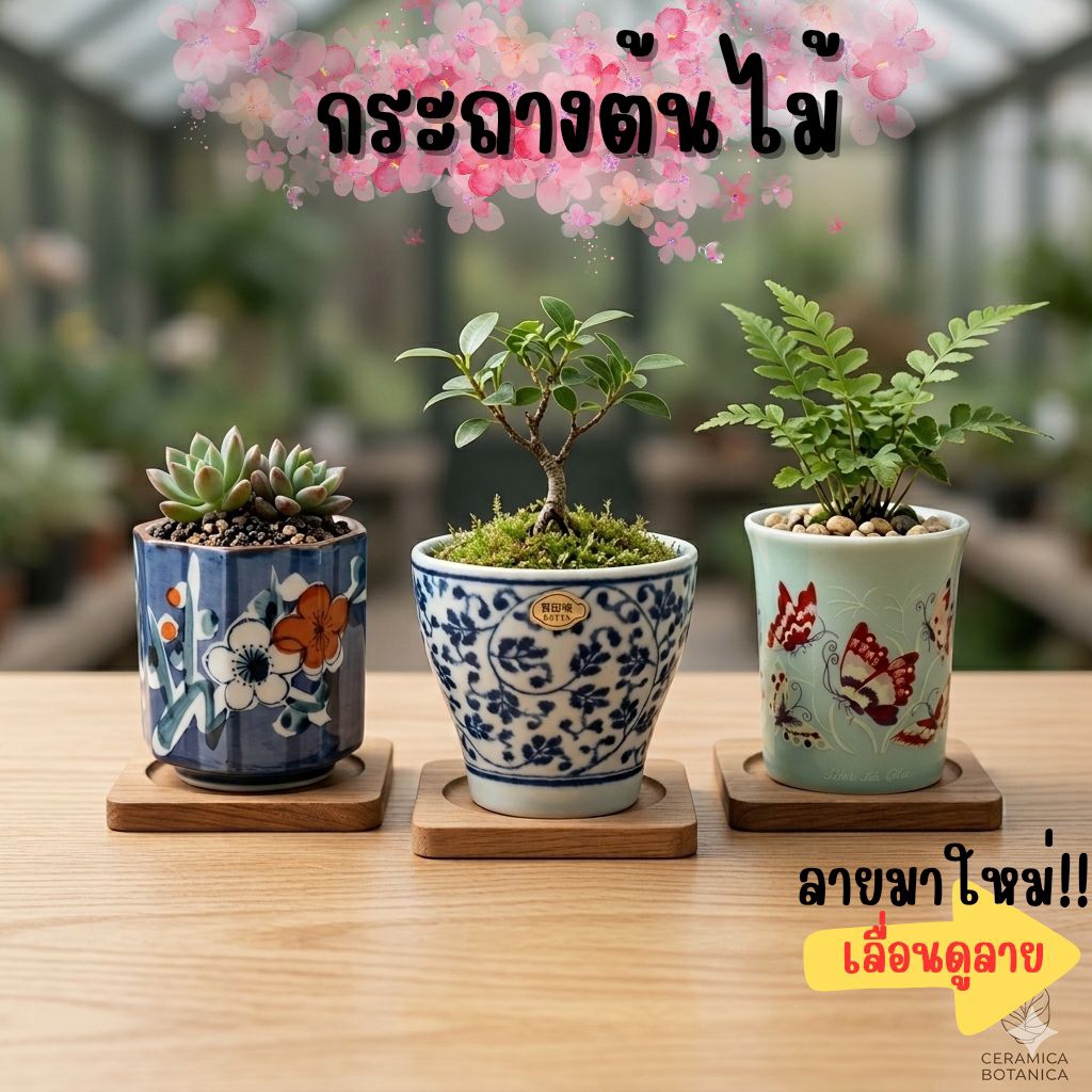 (3)กระถางเซรามิค กระถางต้นไม้ กระถางบอนไซ มาใหม่ stock U