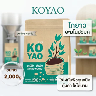 Koyao Humic สารปรับสภาพดิน ฟื้นต้นโทรม แก้ใบเหลืองใบไหม้ เร่งราก กระตุ้นแตกใบอ่อน ต้นสมบูรณ์ ใบเขียว